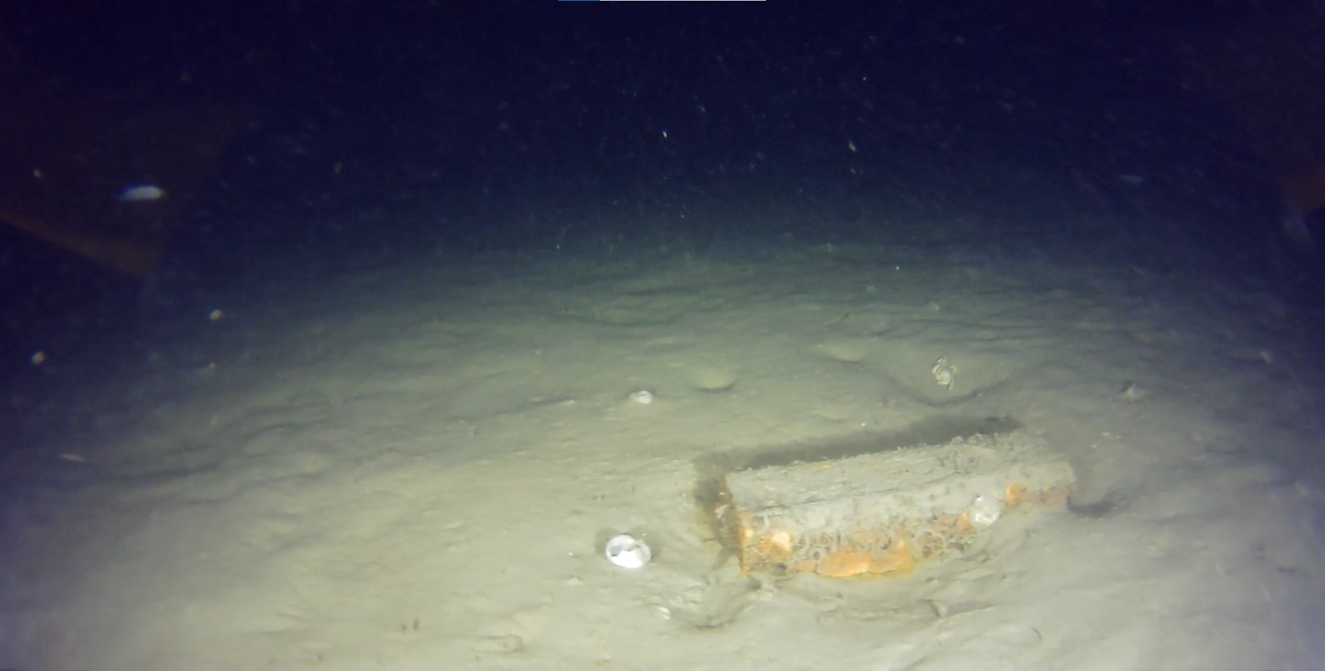 I S T A N B U L T H Y N I N 50 Y I L O N C E D U S E N U C A 1133638 336548